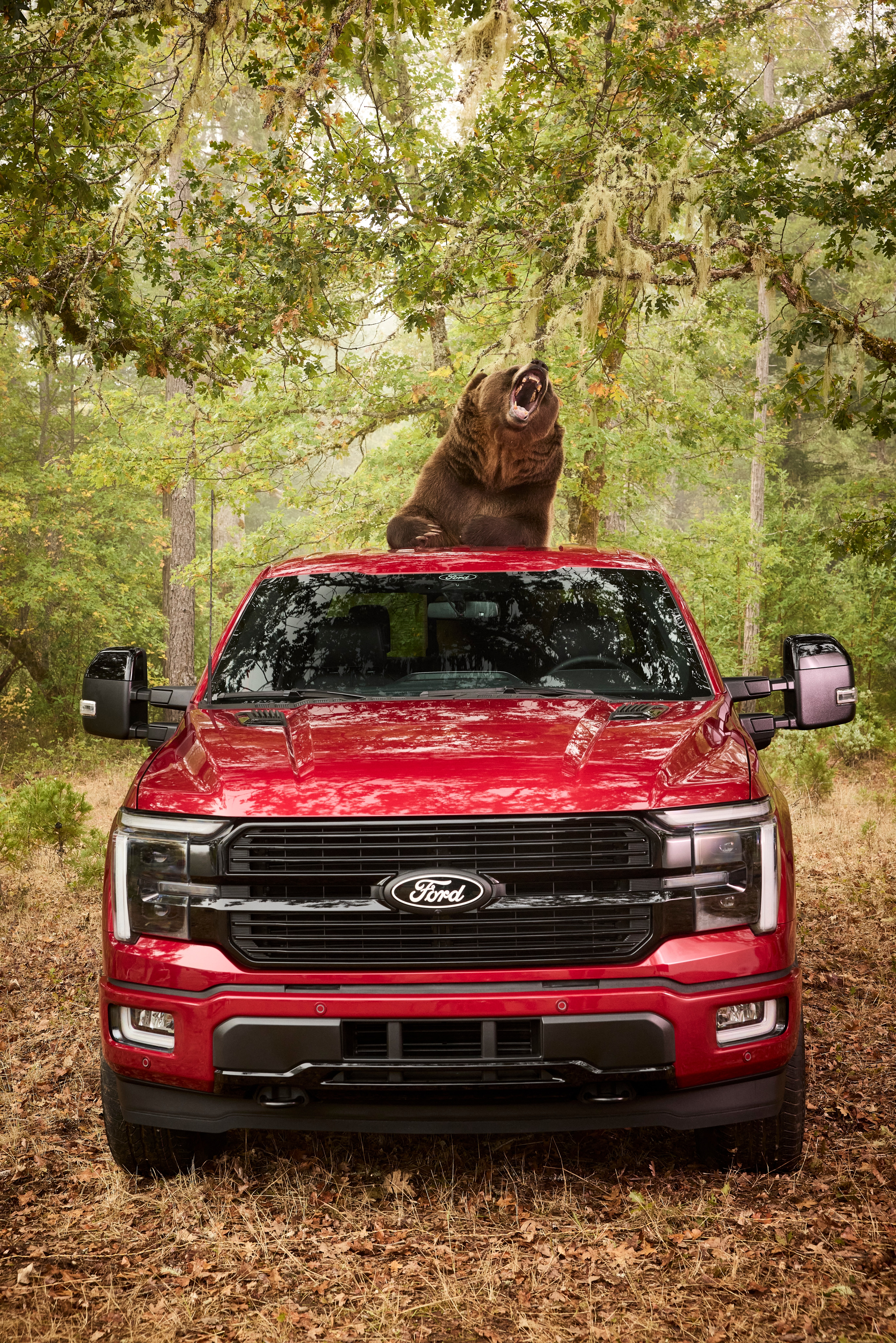 After years of perfecting the Ford Security Package, the Ford Secure team wanted a test that could go beyond the lab. Enter: a 1,000-pound Kodiak bear.